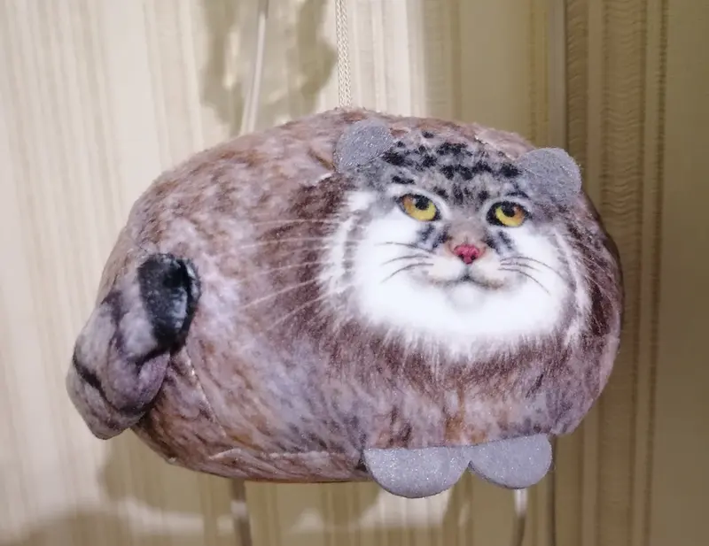 マヌルネコの写真
