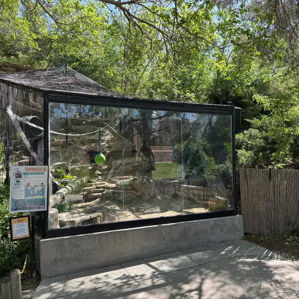 プエブロ動物園のタイ・チーの写真