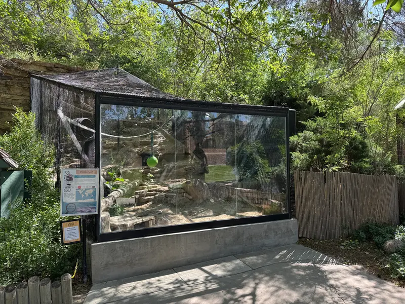 プエブロ動物園のタイ・チーの写真