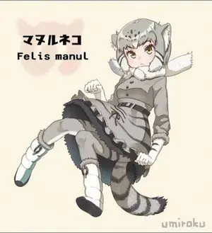 マヌルネコの写真