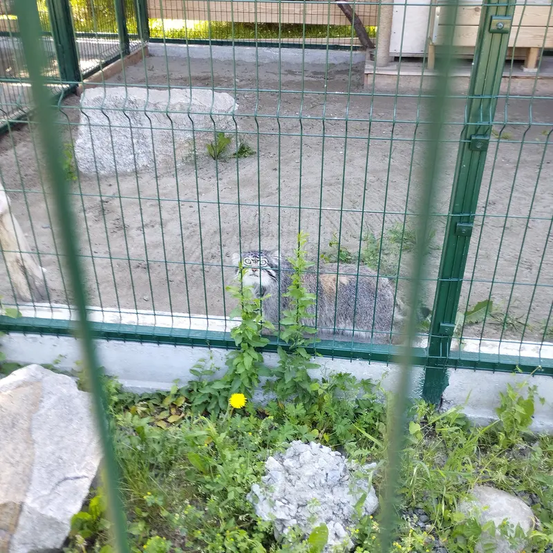バルナウル動物園「レースナヤ・スカースカ」のチップの写真