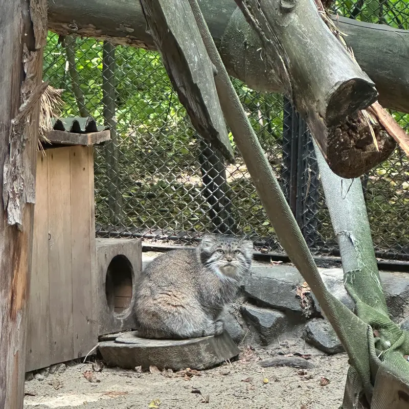 ノヴォシビルスク動物園のラストチカの写真