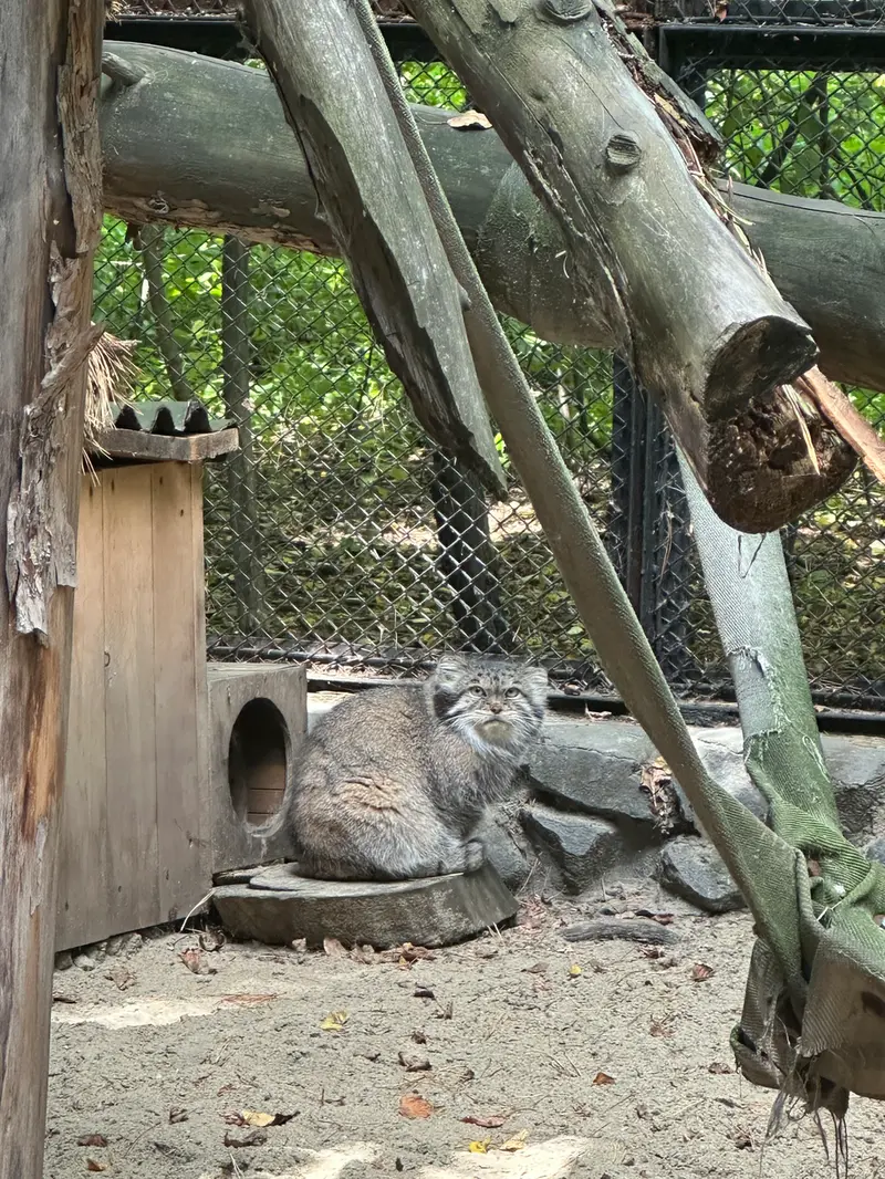 ノヴォシビルスク動物園のラストチカの写真