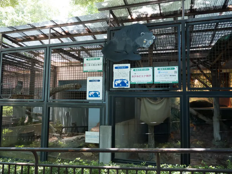 神戸市立王子動物園のイーリスの写真