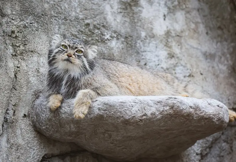 コロンバス動物園・水族館のティーナの写真