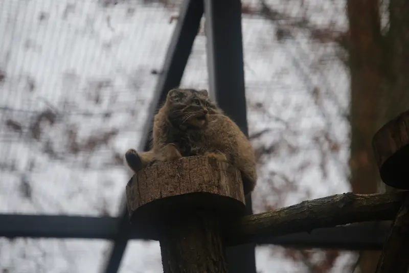 グダニスク動物園のウラの写真