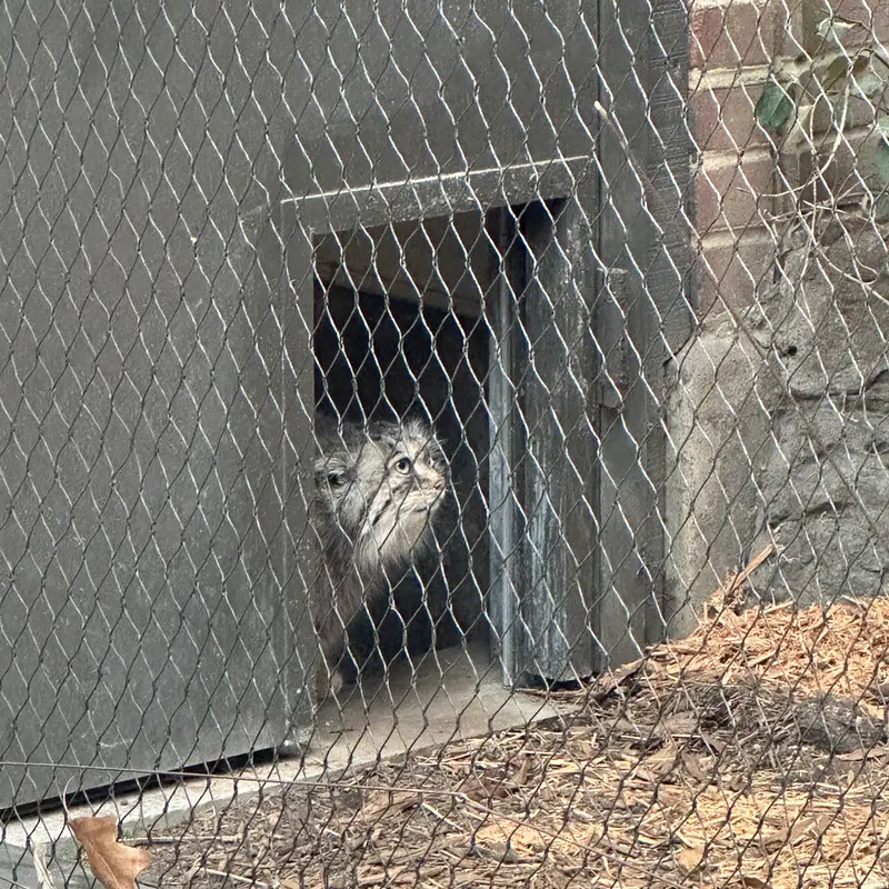プロスペクト・パーク動物園のサルナイの写真