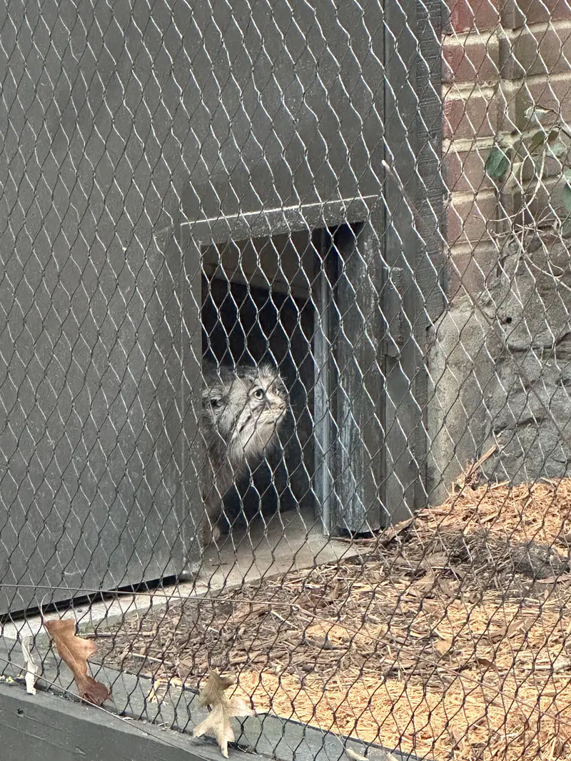 プロスペクト・パーク動物園のサルナイの写真