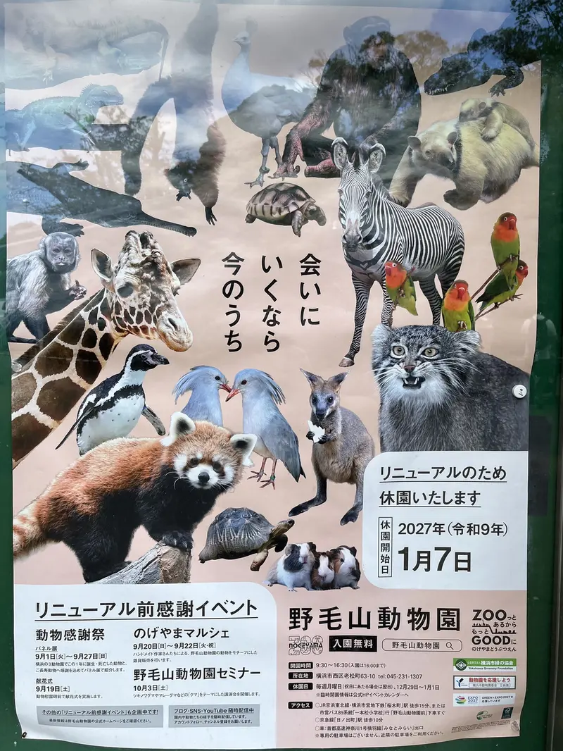 野毛山動物園のフィーガの写真