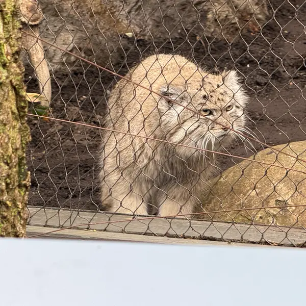 プロスペクト・パーク動物園のバトゥの写真