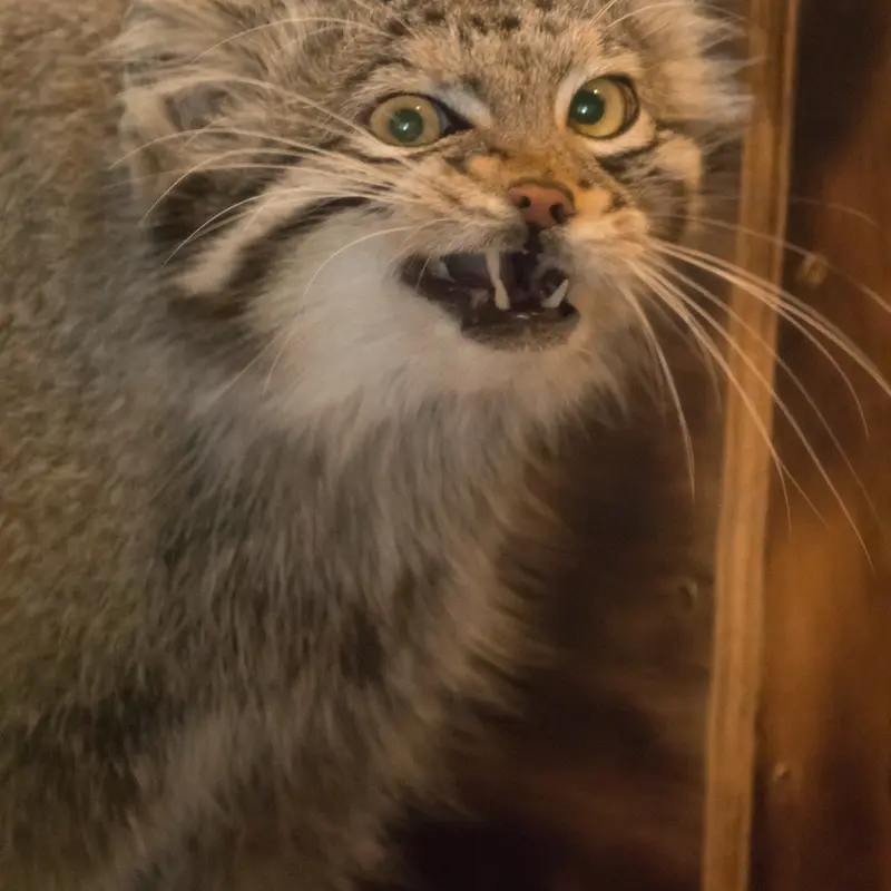 埼玉県こども動物自然公園のオトの写真
