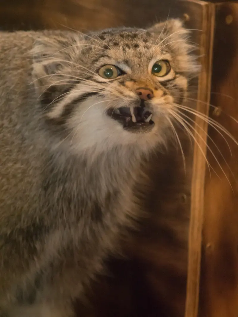 埼玉県こども動物自然公園のオトの写真