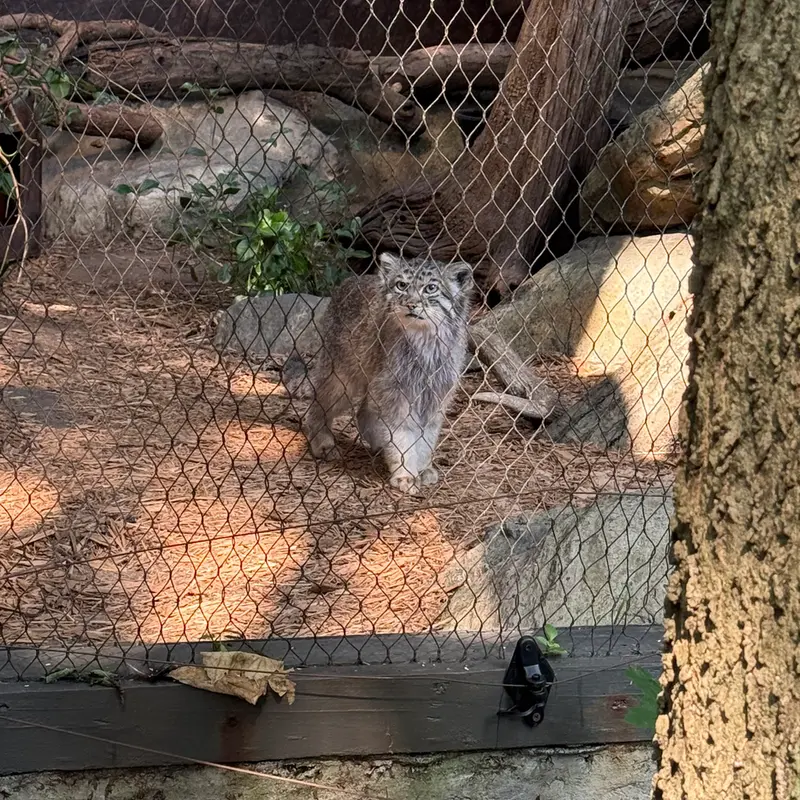 プロスペクト・パーク動物園のバトゥの写真