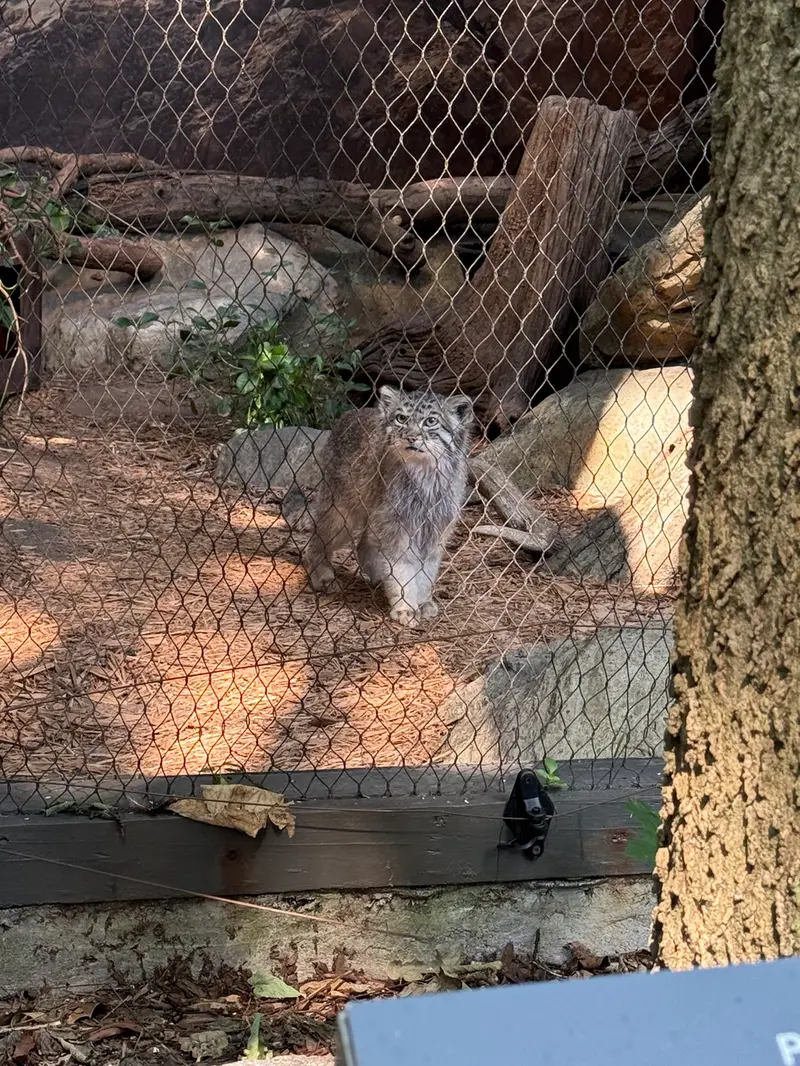 プロスペクト・パーク動物園のバトゥの写真