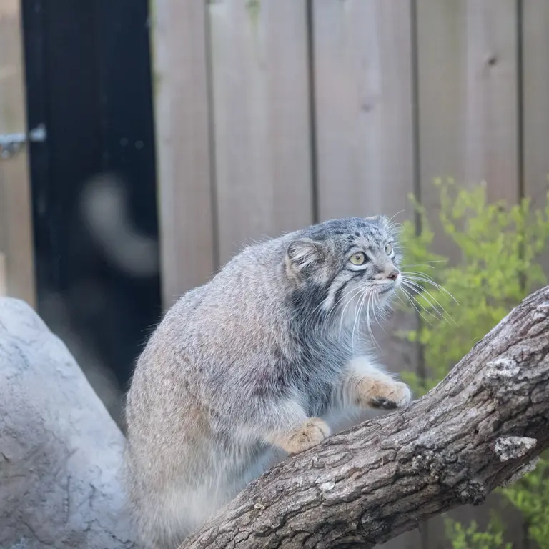 埼玉県こども動物自然公園のオトの写真
