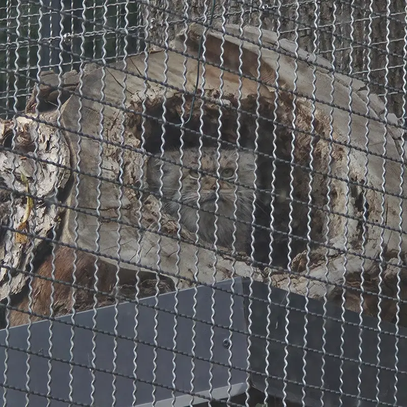 リトアニア動物園のメリッサの写真