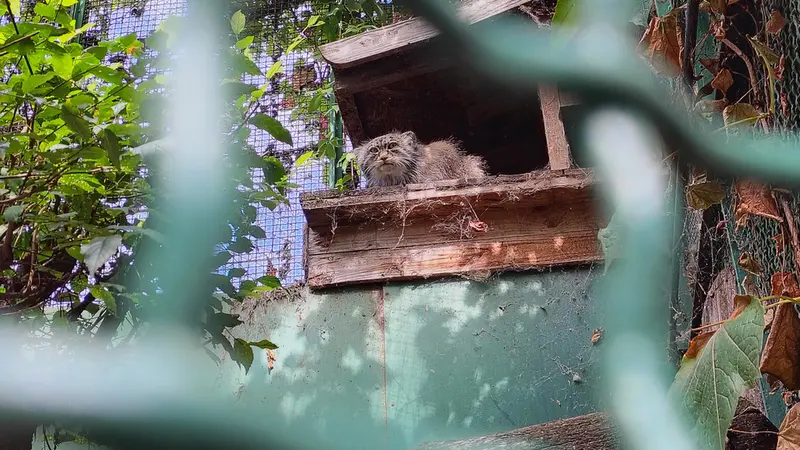 ブダペスト動物園・植物園のボフスの写真