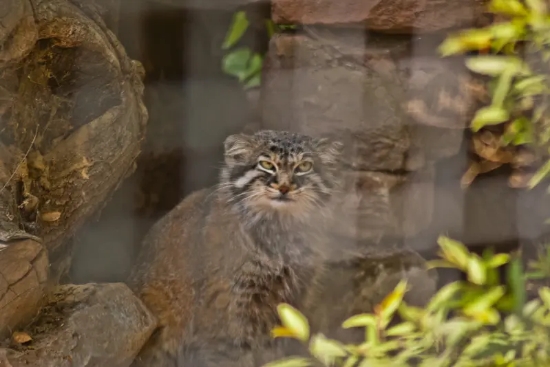 ザールブリュッケン動物園のカール・ハインツの写真