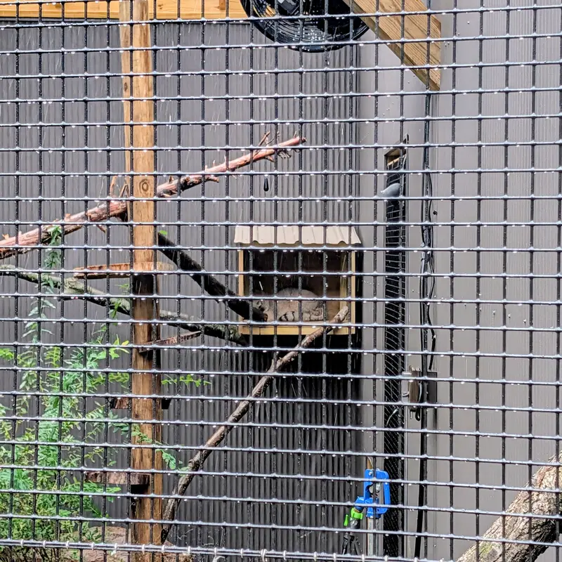 エルムウッド・パーク動物園のカスパーの写真
