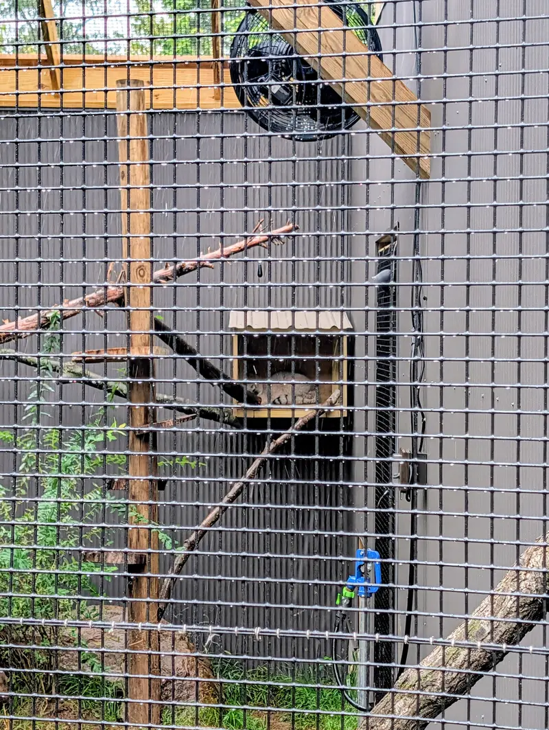 エルムウッド・パーク動物園のカスパーの写真