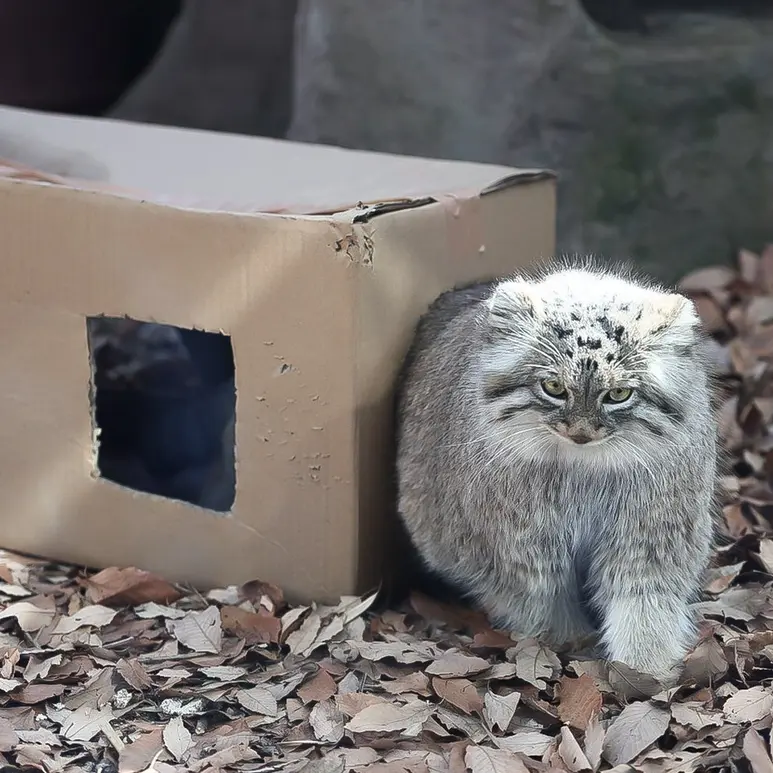 埼玉県こども動物自然公園のオリーヴァの写真