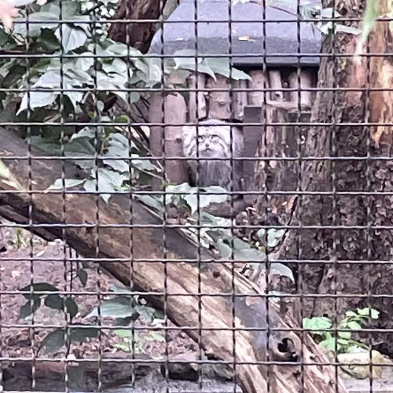 ワルシャワ動物園のジェシーの写真