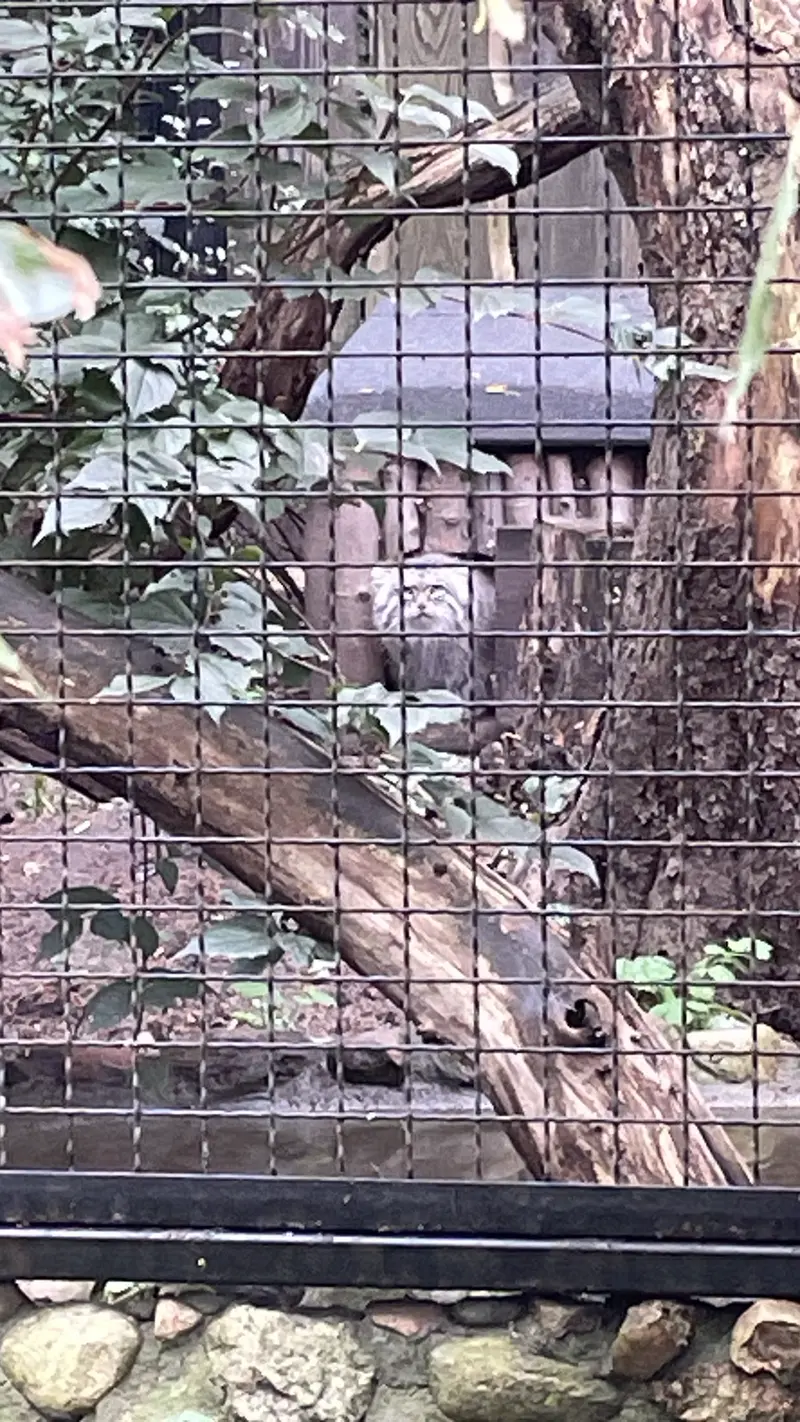ワルシャワ動物園のジェシーの写真