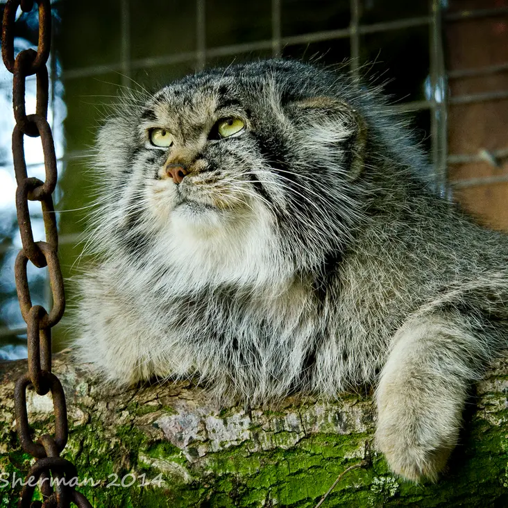 バナム動物園のバックの写真
