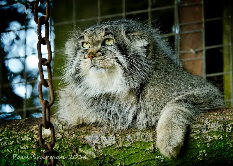 バナム動物園のバックの写真