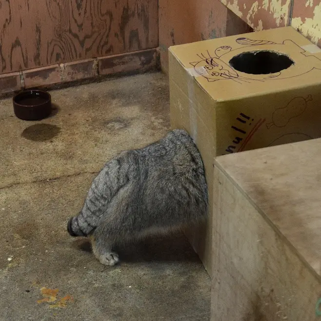 埼玉県こども動物自然公園のレフの写真