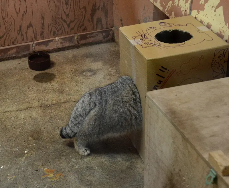 埼玉県こども動物自然公園のレフの写真