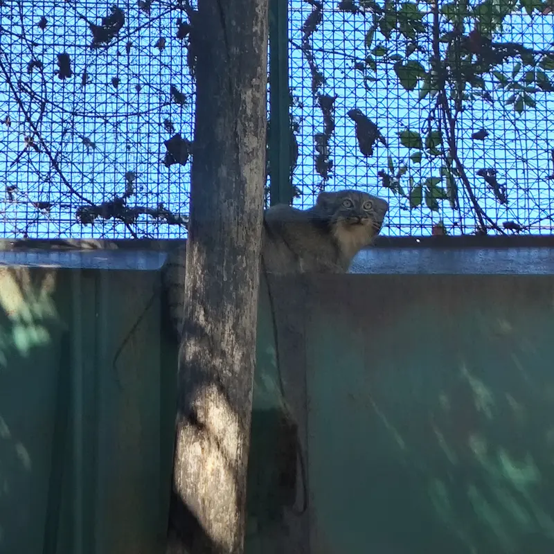 ブダペスト動物園・植物園のルーシーの写真