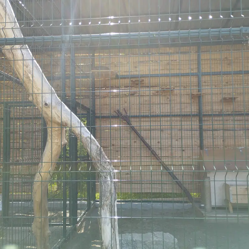 バルナウル動物園「レースナヤ・スカースカ」のチップの写真