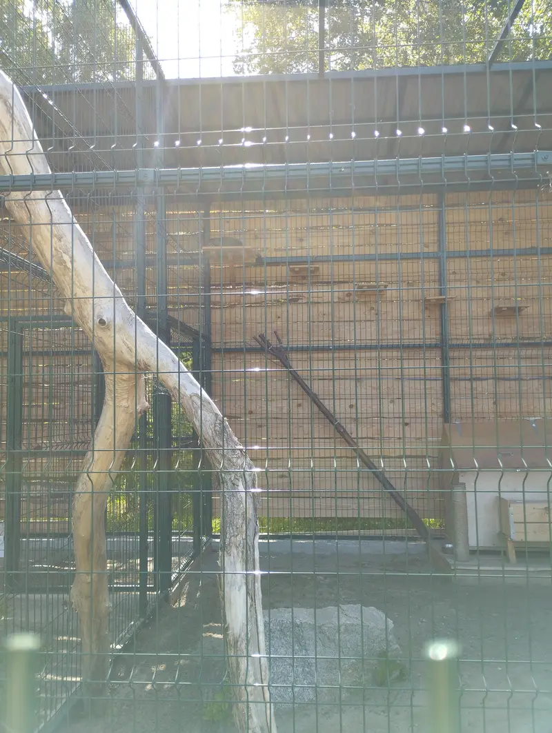 バルナウル動物園「レースナヤ・スカースカ」のチップの写真