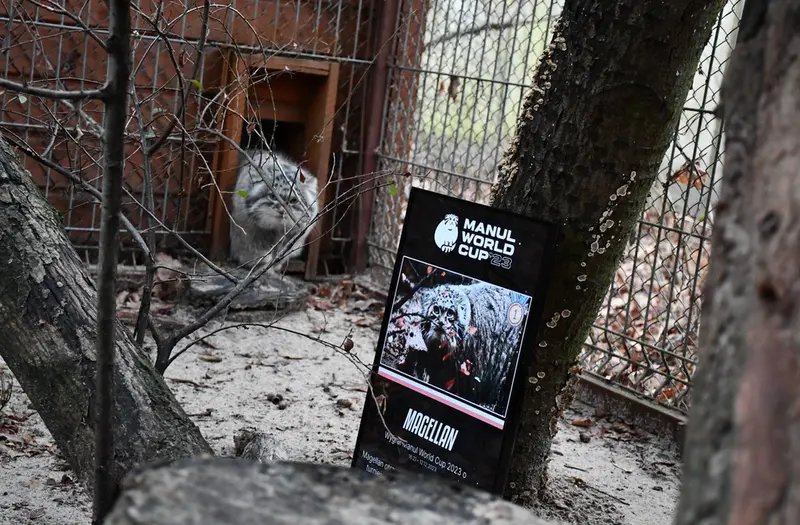 ポズナン新動物園のマゼランの写真