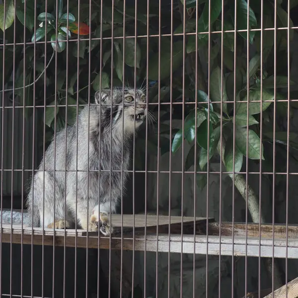 東山動植物園のレフの写真