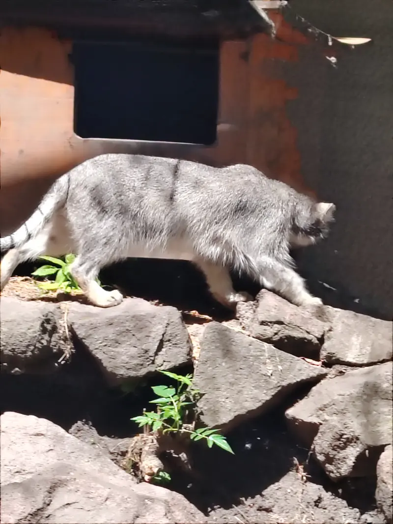 ブダペスト動物園・植物園のルーシーの写真