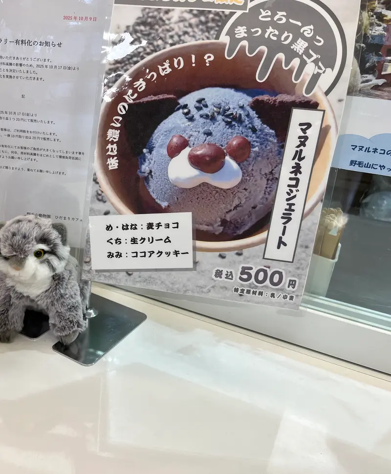 マヌルネコの写真
