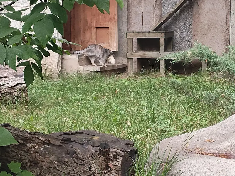 モスクワ動物園のティモフェイの写真