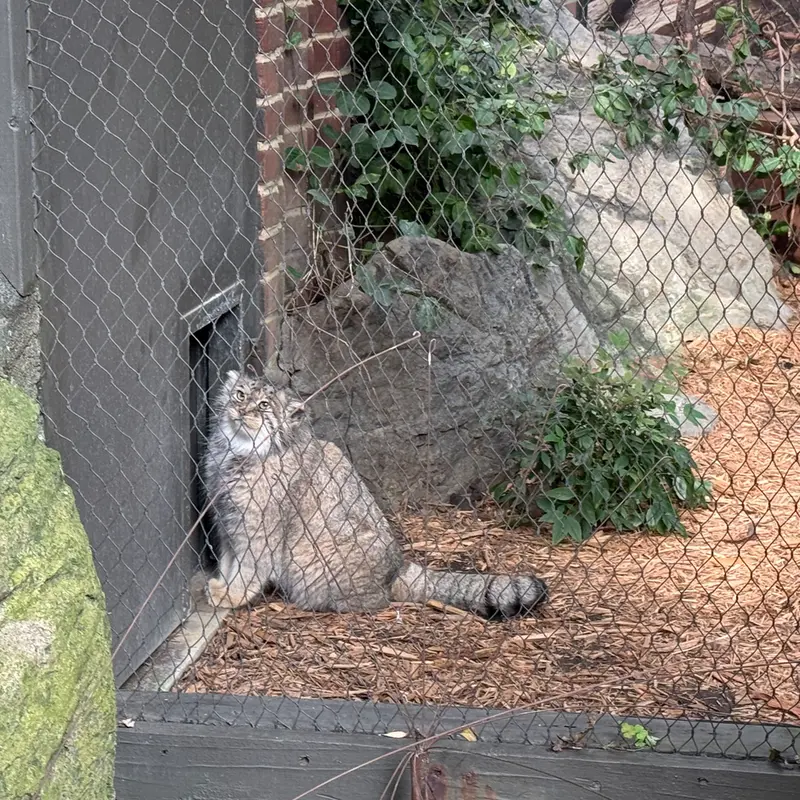 プロスペクト・パーク動物園のサルナイの写真