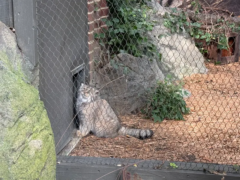 プロスペクト・パーク動物園のサルナイの写真