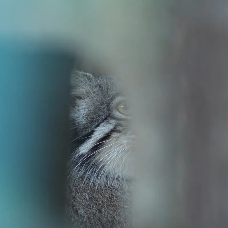 野毛山動物園のフィーガの写真