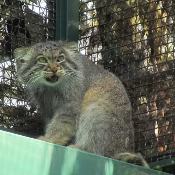 ブダペスト動物園＆植物園のボリスの写真