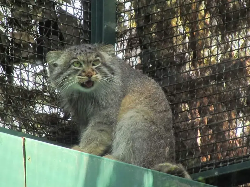 ブダペスト動物園＆植物園のボリスの写真
