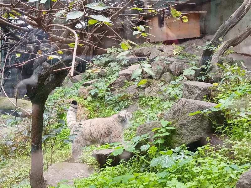 ブダペスト動物園＆植物園のボフスの写真