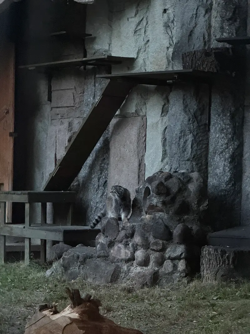 モスクワ動物園のティモフェイの写真