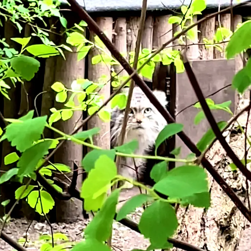 ワルシャワ動物園のジェシーの写真
