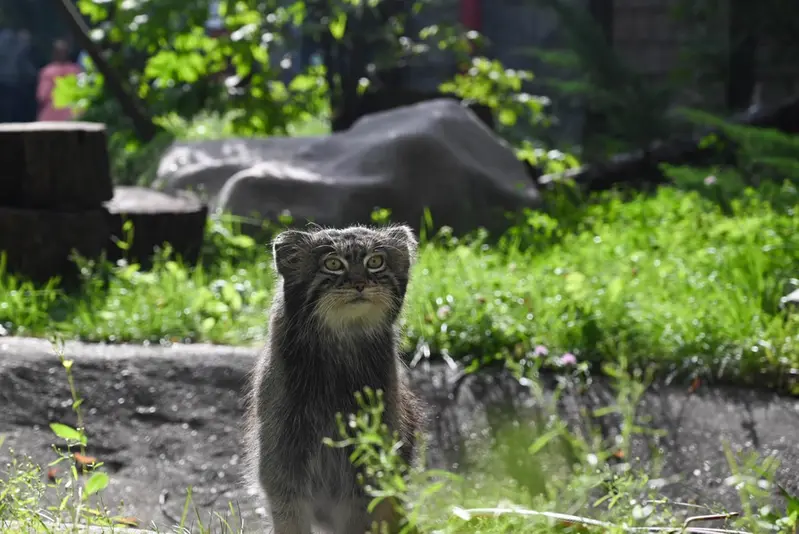 モスクワ動物園のティモフェイの写真