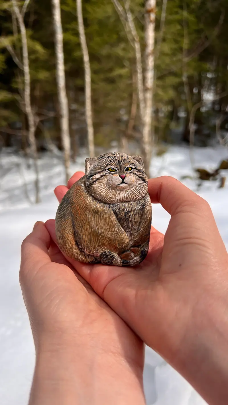 マヌルネコの写真