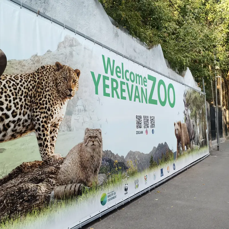 エレバン動物園のマヌルネコの写真